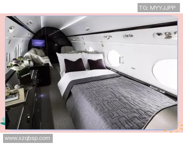 足球明星的奢华生活揭秘私人飞机背后的故事与魅力 足球明星的奢华生活揭秘私人飞机背后的故事与魅力