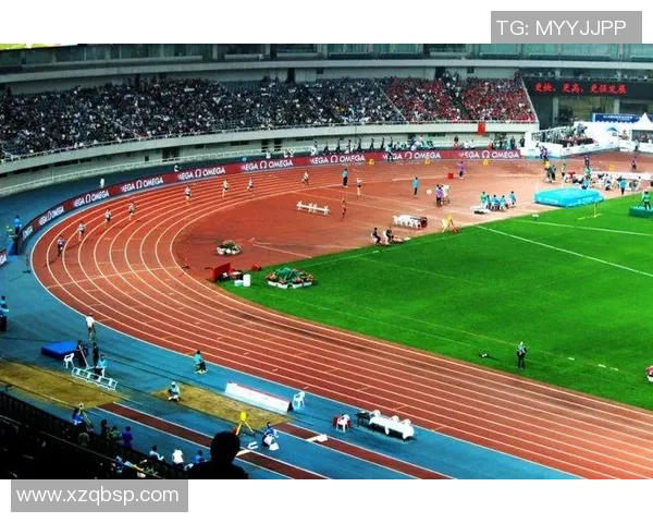 上海乒乓球队在钻石联赛中的拼搏历程与荣耀时刻回顾