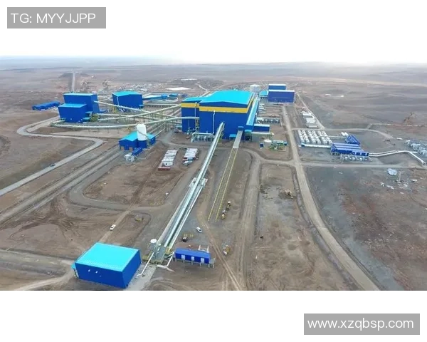 北京乒乓球队转型之路的挑战与机遇全景观察