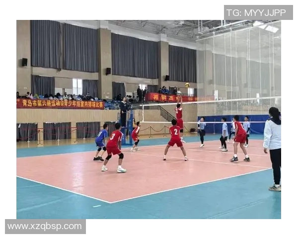 南京排球队的节奏与魅力探秘：一场关于青春与拼搏的排球盛宴