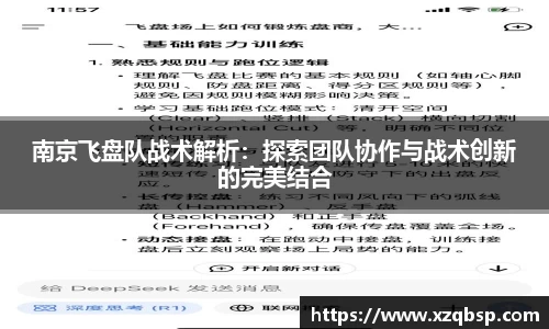 南京飞盘队战术解析：探索团队协作与战术创新的完美结合