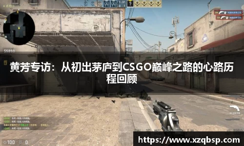 黄芳专访：从初出茅庐到CSGO巅峰之路的心路历程回顾