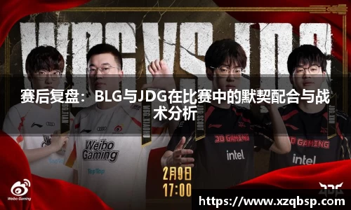 赛后复盘：BLG与JDG在比赛中的默契配合与战术分析
