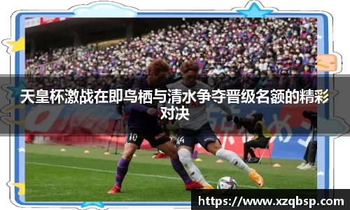 VSport胜利因您更精彩