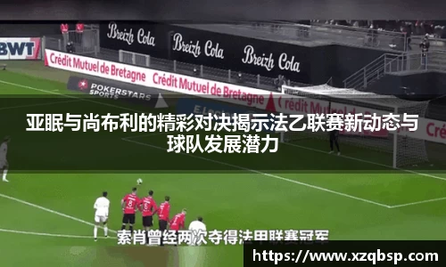 亚眠与尚布利的精彩对决揭示法乙联赛新动态与球队发展潜力