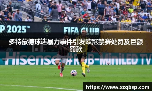 多特蒙德球迷暴力事件引发欧冠禁赛处罚及巨额罚款