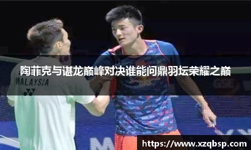 陶菲克与谌龙巅峰对决谁能问鼎羽坛荣耀之巅